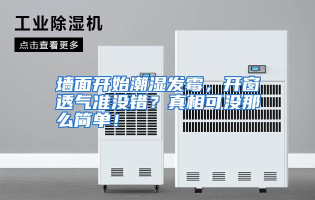 墙面开始潮湿发霉,开窗透气准没错?真相可没那么简单!