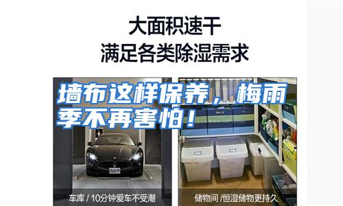 墙布这样保养，梅雨季不再害怕！