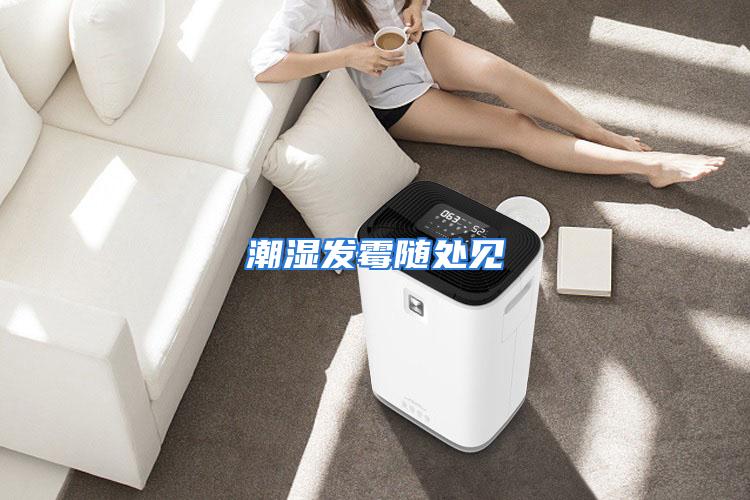 潮湿发霉随处见