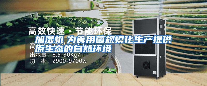 加湿机　为食用菌规模化生产提供原生态的自然环境
