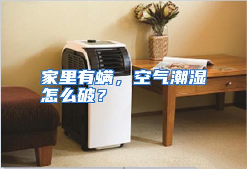 家里有螨,空气潮湿怎么破?