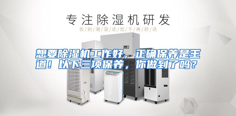 想要除湿机工作好,正确保养是王道!以下三项保养,你做到了吗?