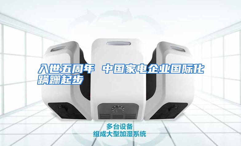 入世五周年 中国家电企业国际化蹒跚起步