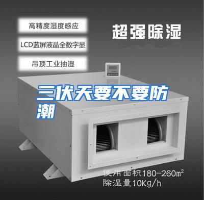 三伏天要不要防潮