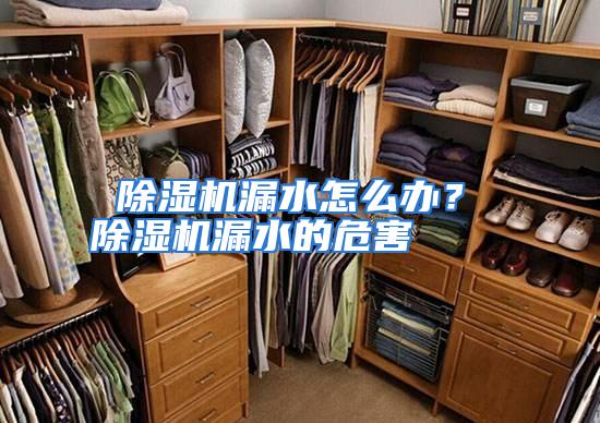  除湿机漏水怎么办？ 除湿机漏水的危害