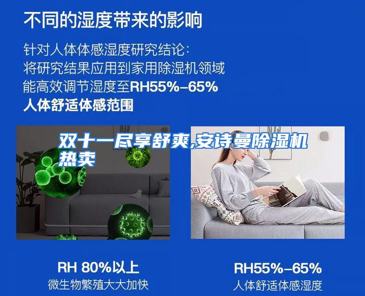 双十一尽享舒爽,安诗曼除湿机热卖