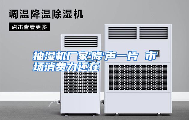 抽湿机厂家'降'声一片 市场消费力还在