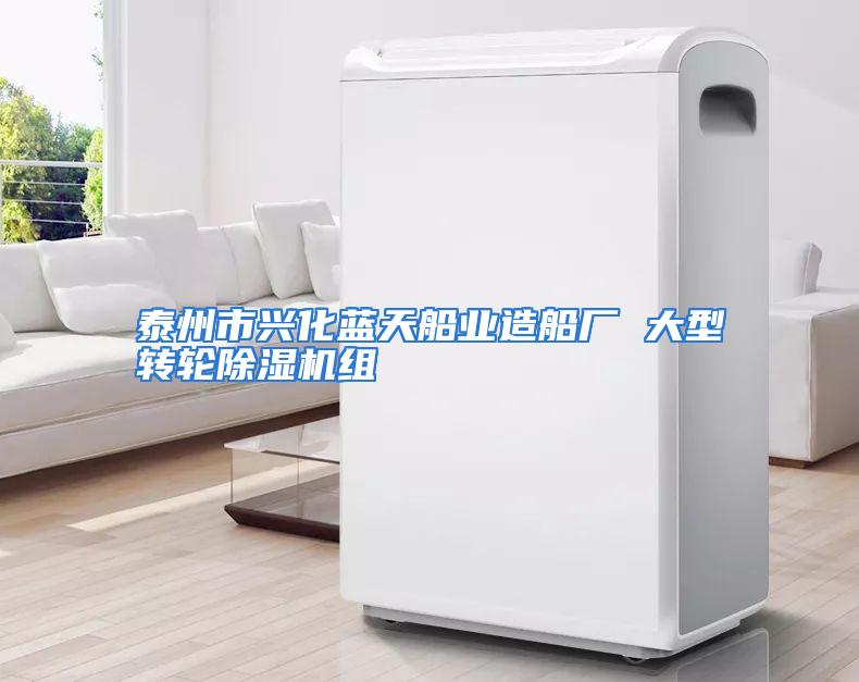 泰州市兴化蓝天船业造船厂 大型转轮除湿机组