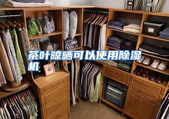 茶叶晾晒可以使用除湿机