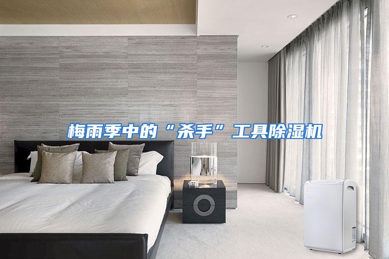 梅雨季中的“杀手”工具除湿机