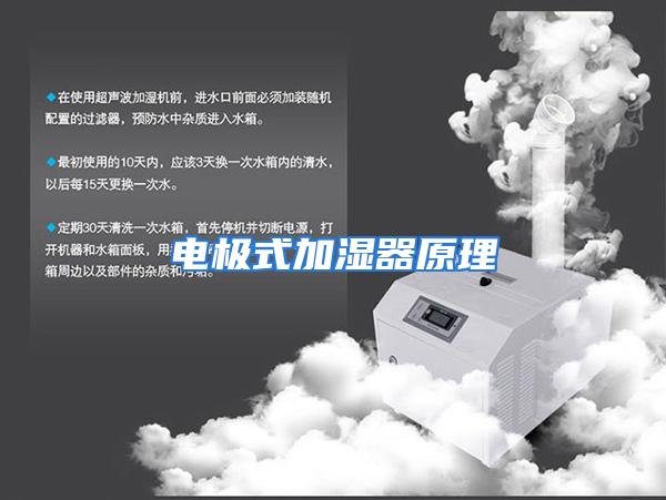 电极式加湿器原理