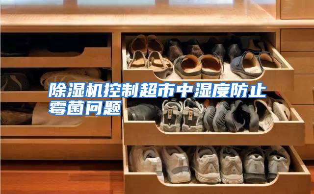 除湿机控制超市中湿度防止霉菌问题
