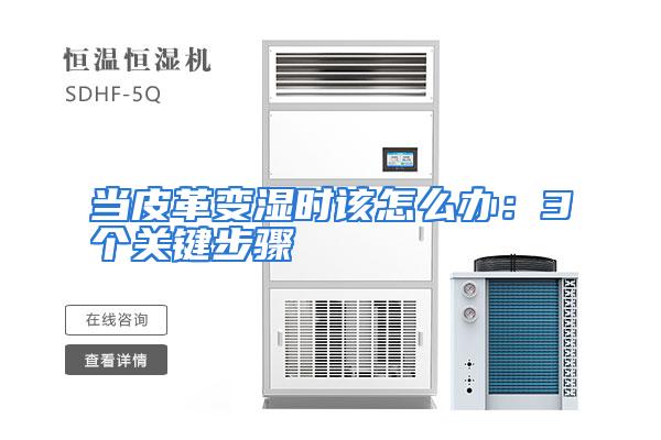 当皮革变湿时该怎么办:3个关键步骤