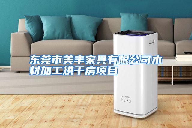 东莞市美丰家具有限公司木材加工烘干房项目