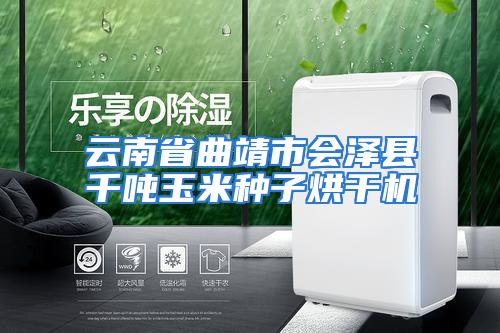 云南省曲靖市会泽县千吨玉米种子烘干机
