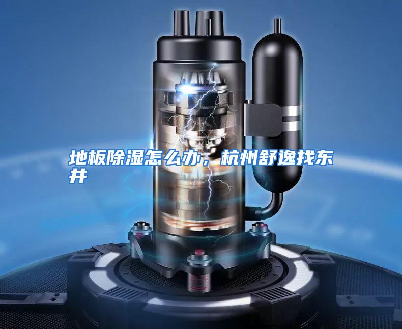 地板除湿怎么办,杭州舒逸找东井