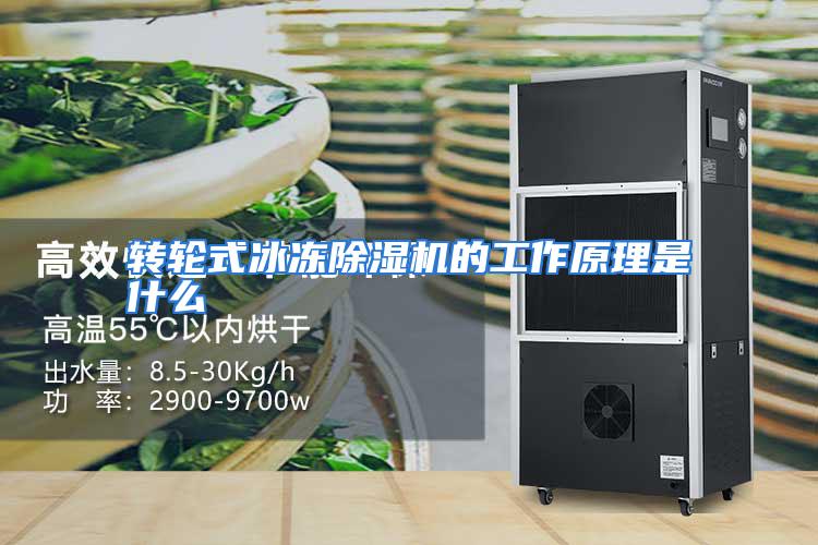 转轮式冰冻除湿机的工作原理是什么