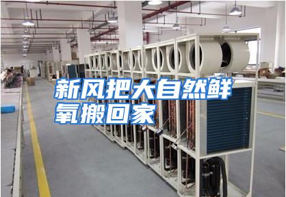 新风把大自然鲜氧搬回家