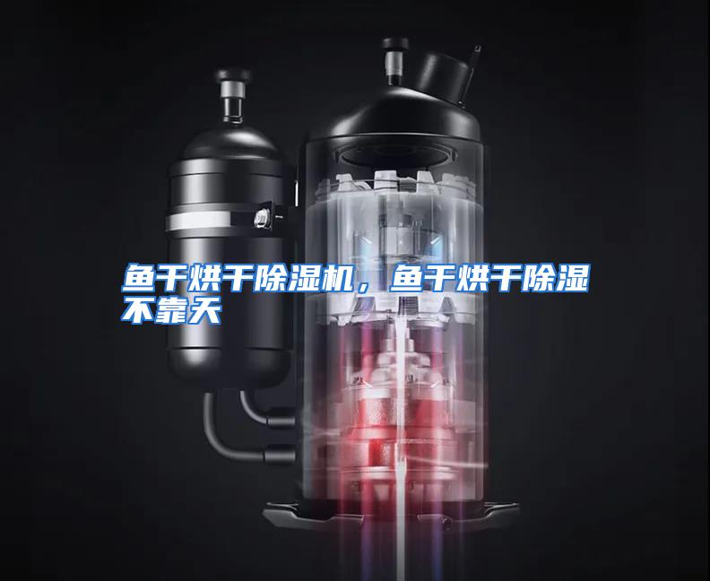 鱼干烘干除湿机,鱼干烘干除湿不靠天