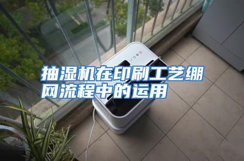 抽湿机在印刷工艺绷网流程中的运用