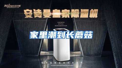 家里潮到长蘑菇