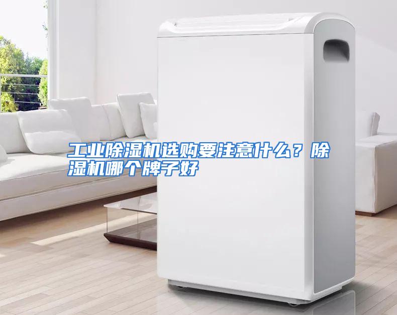 工业除湿机选购要注意什么？除湿机哪个牌子好