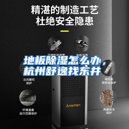 地板除湿怎么办，杭州舒逸找东井