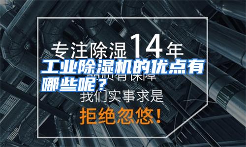 工业除湿机的优点有哪些呢？