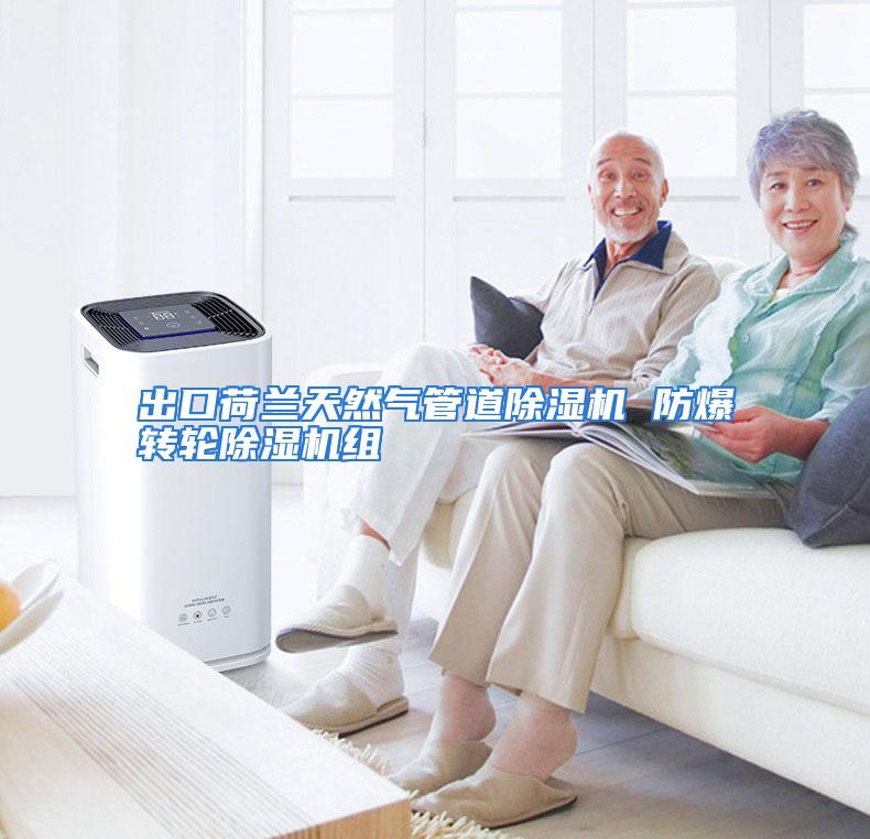 出口荷兰天然气管道除湿机 防爆转轮除湿机组