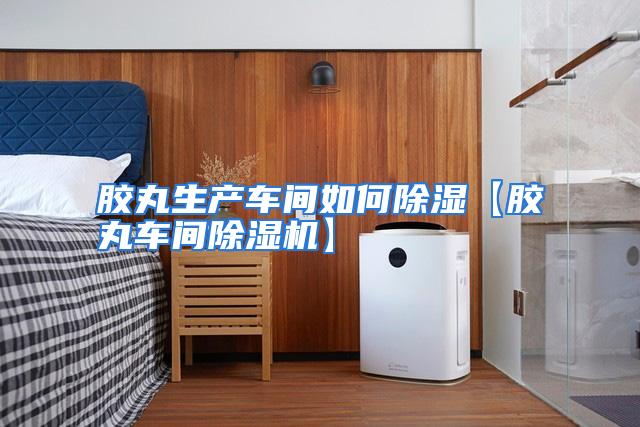 胶丸生产车间如何除湿【胶丸车间除湿机】