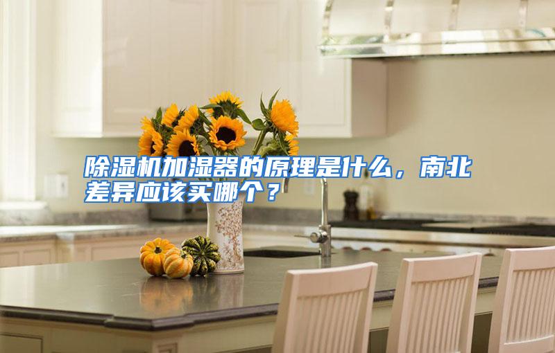 除湿机加湿器的原理是什么，南北差异应该买哪个？
