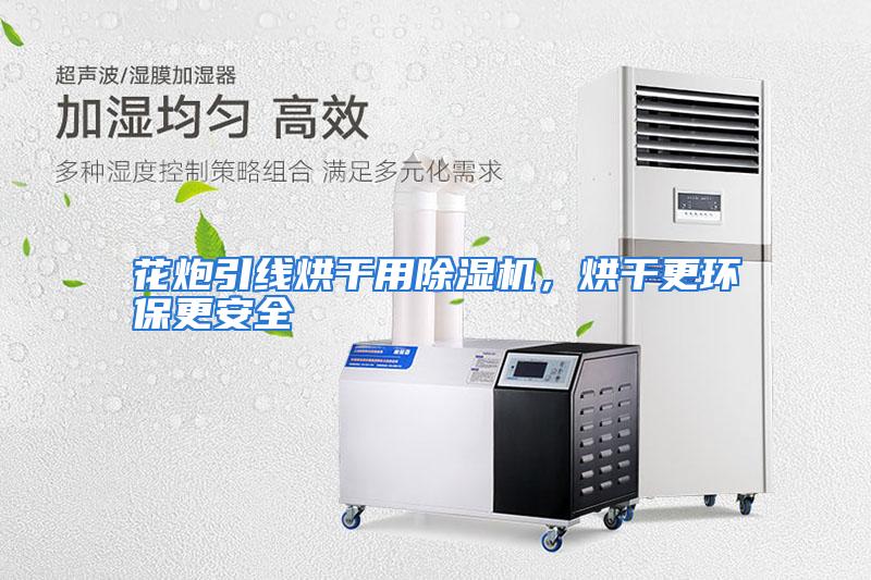 花炮引线烘干用除湿机，烘干更环保更安全