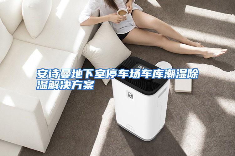 安诗曼地下室停车场车库潮湿除湿解决方案