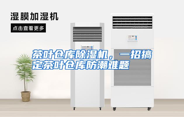 茶叶仓库除湿机，一招搞定茶叶仓库防潮难题