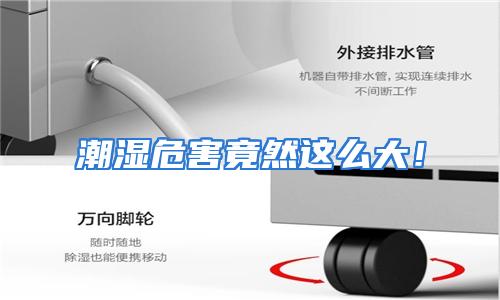 潮湿危害竟然这么大！