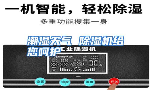 潮湿天气 除湿机给您呵护