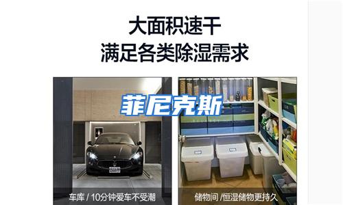 菲尼克斯