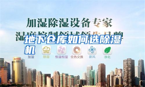 地下仓库如何选除湿机