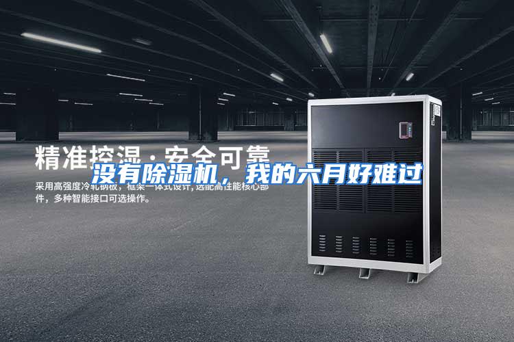 没有除湿机，我的六月好难过