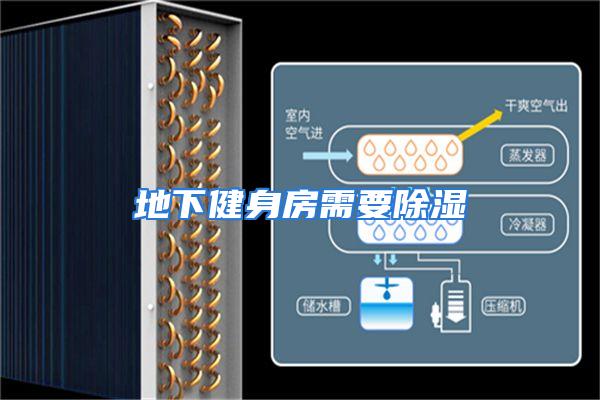 地下健身房需要除湿