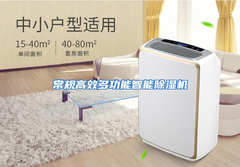 常规高效多功能智能除湿机