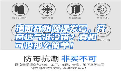 墙面开始潮湿发霉，开窗透气准没错？真相可没那么简单！