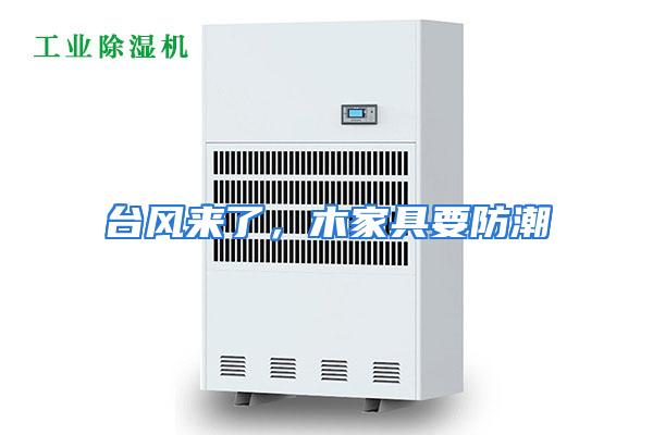 台风来了，木家具要防潮