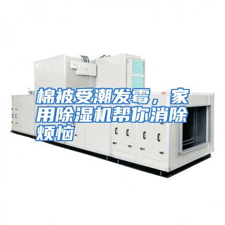 棉被受潮发霉，家用除湿机帮你消除烦恼