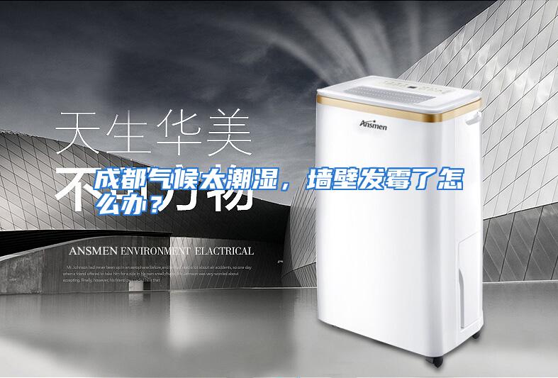 成都气候太潮湿，墙壁发霉了怎么办？