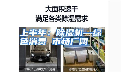 上半年：除湿机—绿色消费 市场广阔