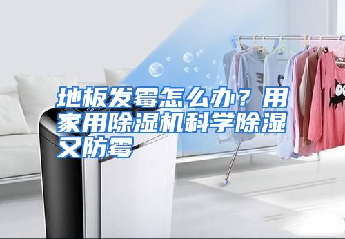 地板发霉怎么办？用家用除湿机科学除湿又防霉