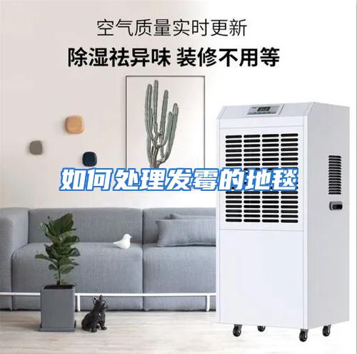 如何处理发霉的地毯