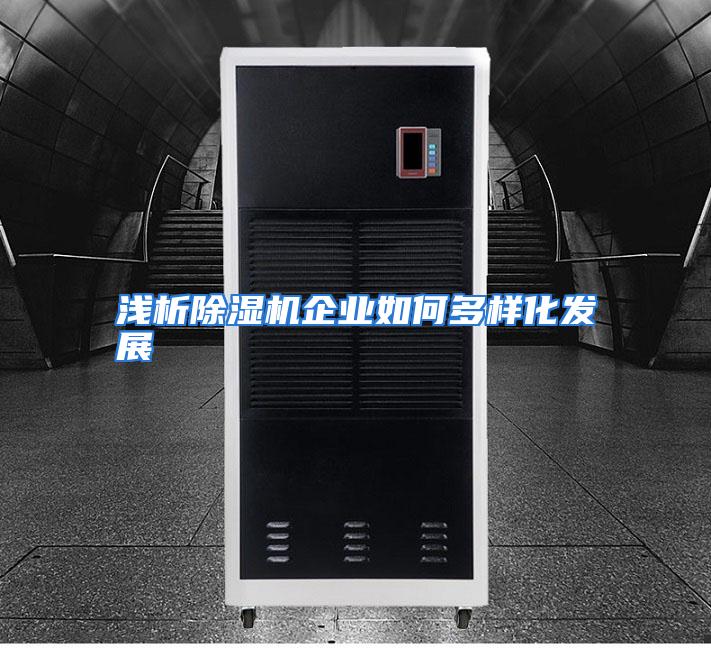浅析除湿机企业如何多样化发展