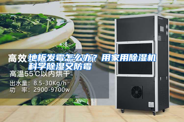 地板发霉怎么办？用家用除湿机科学除湿又防霉